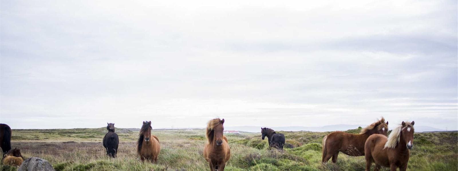 Weekly Deals You Can't Miss