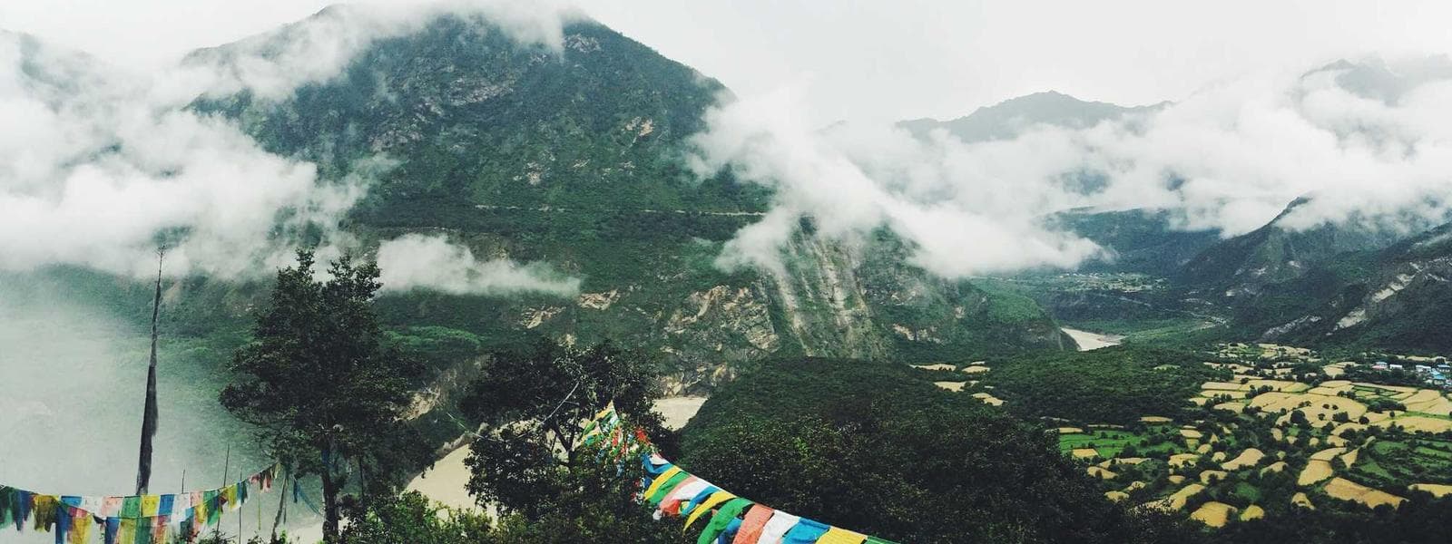 Organic & Locally Sourced